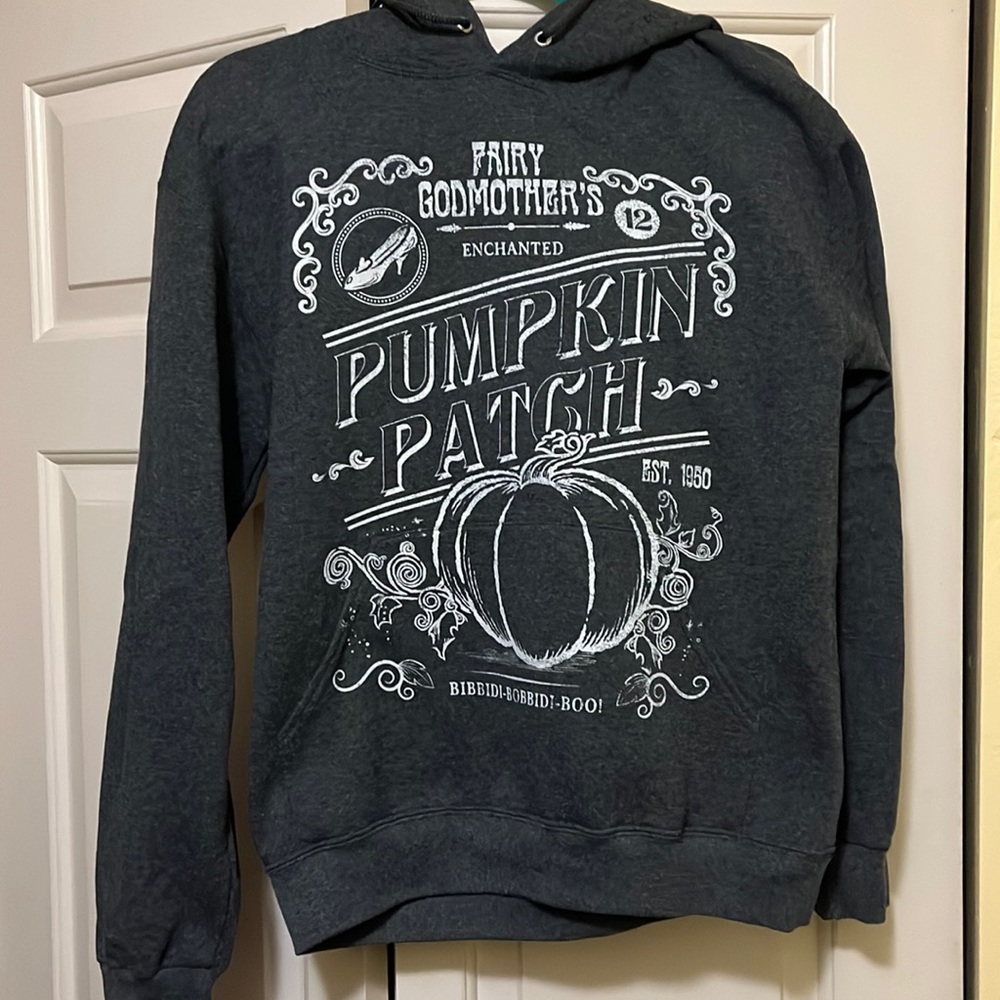 Gray fairy godmother/Cinderella hoodie. Size small
